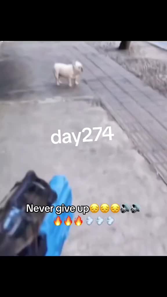 @1000 يوم بدون زازا