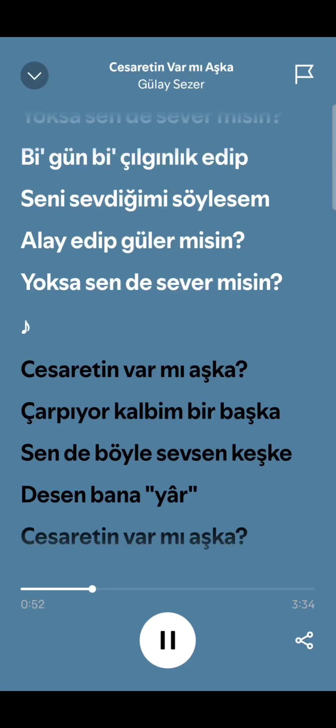 @spotifyy top