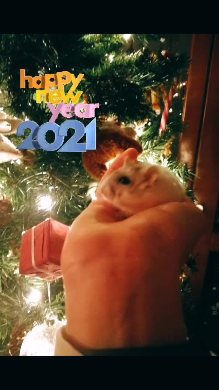 @susi_and_animals🐭🍀💕🎇