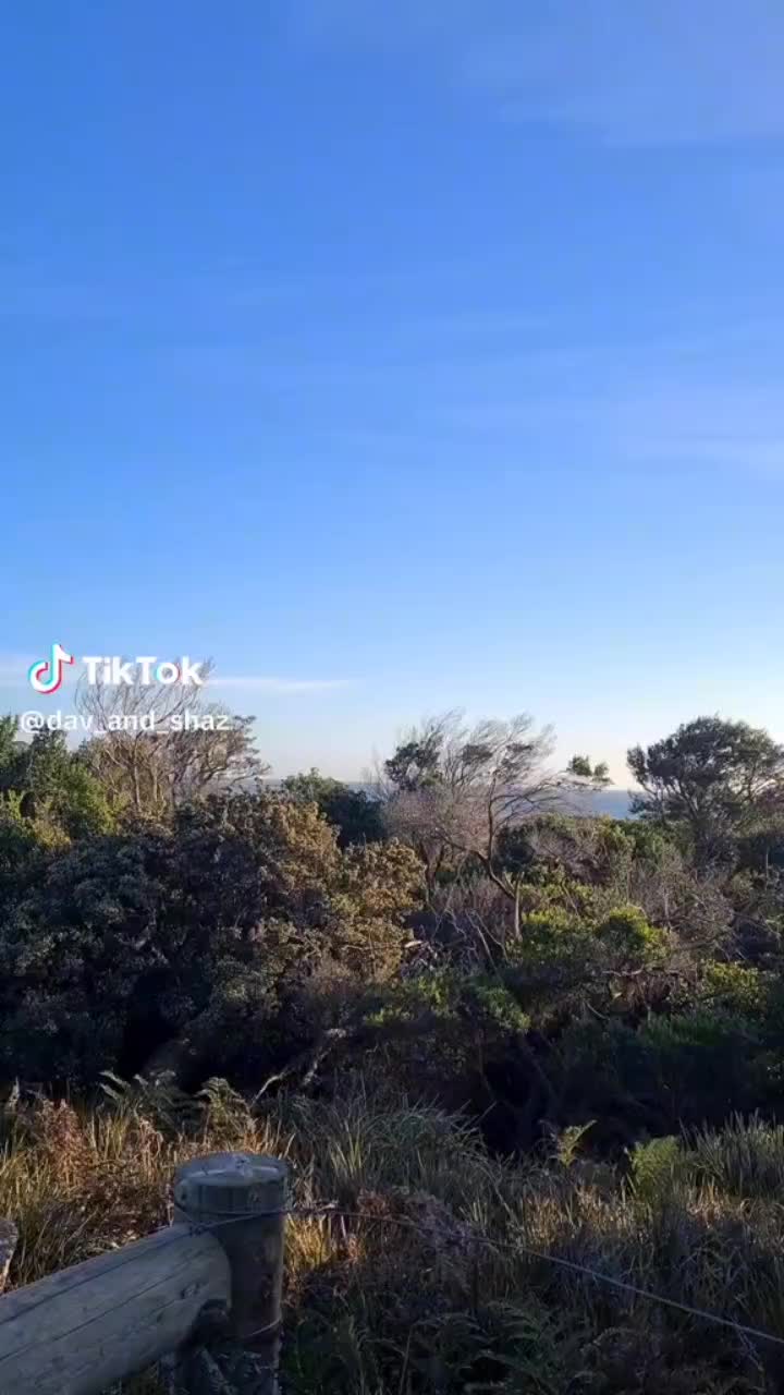 @smokin'_dav