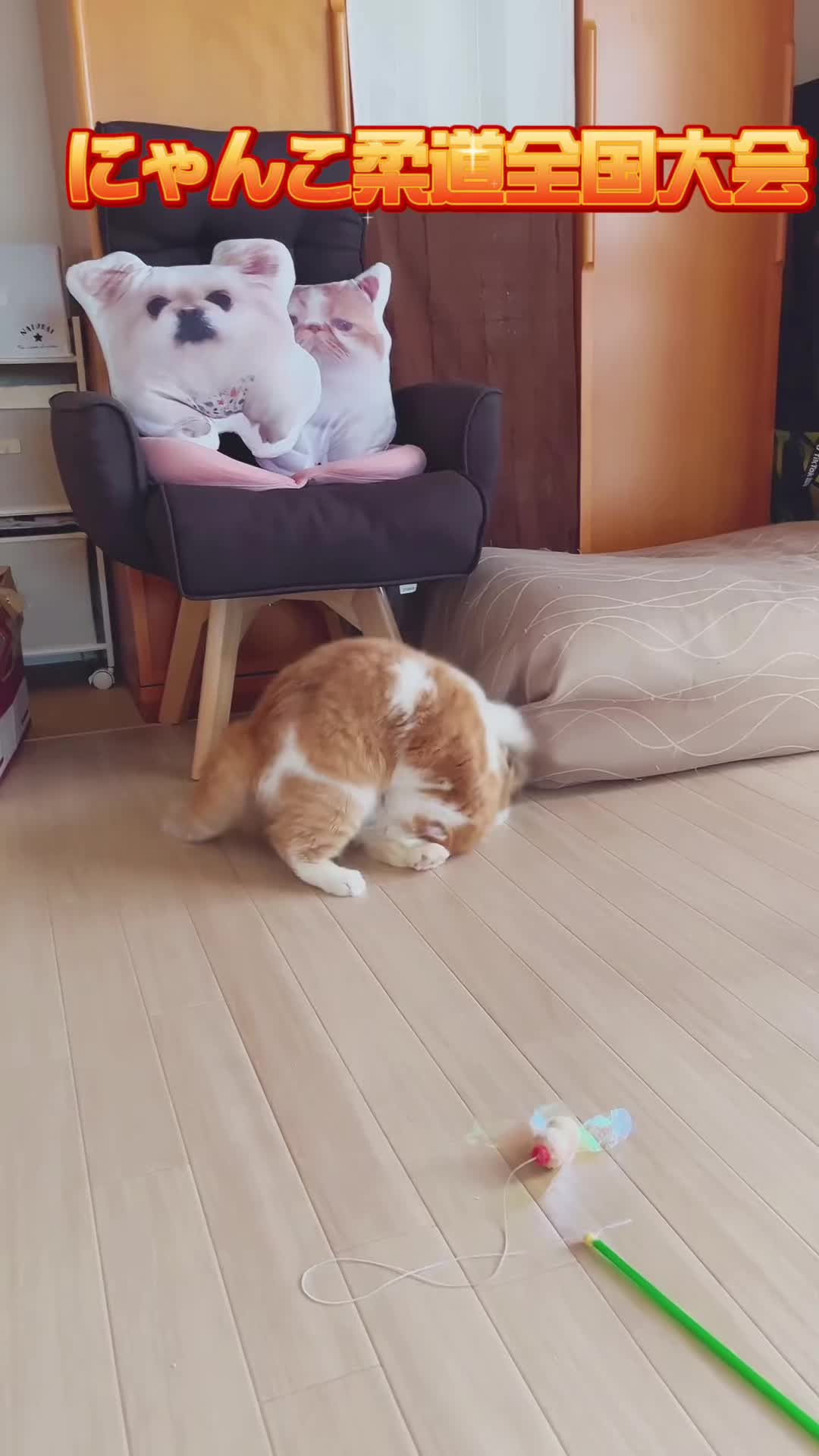 @chataro🐾🍯family