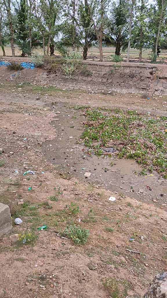 @Raja Akila