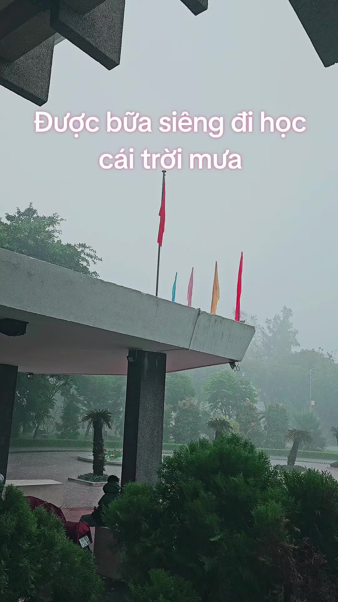 @Tờ Riết sắp có bồ 🇻🇳