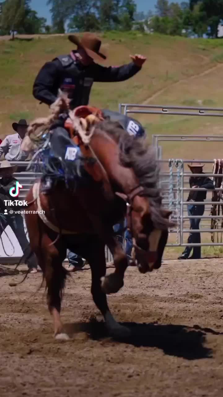 @VeaterRanch