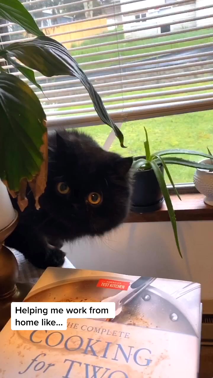 @Heather Schuck