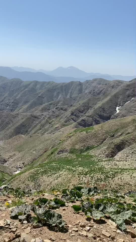 @Mahfuz Toprak