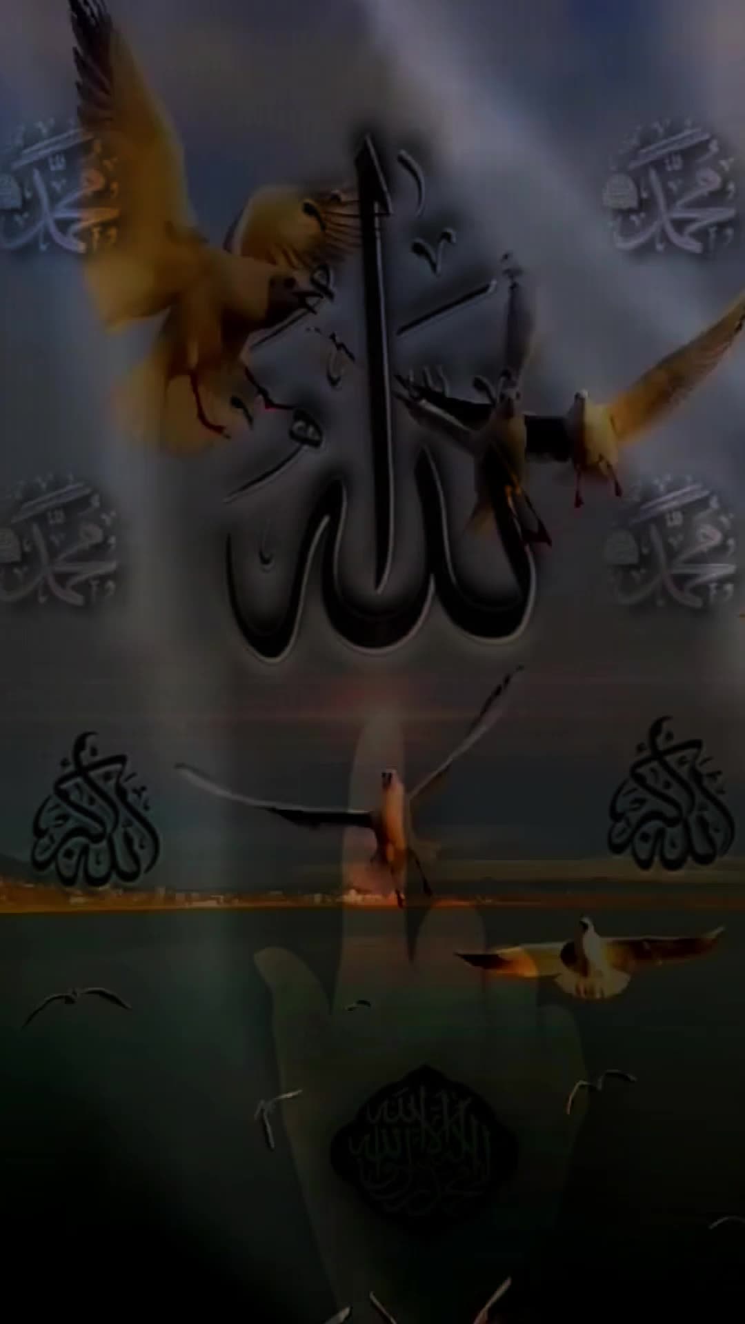 @محمد المعمري