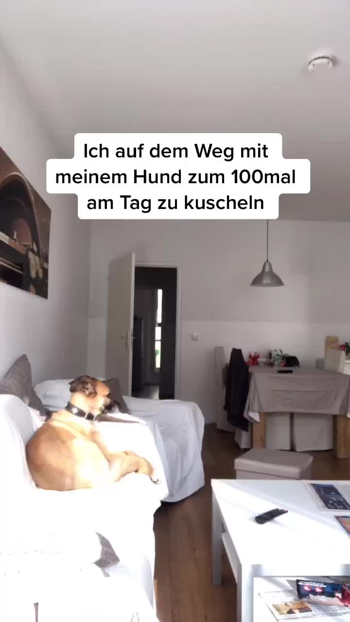 @Yulia