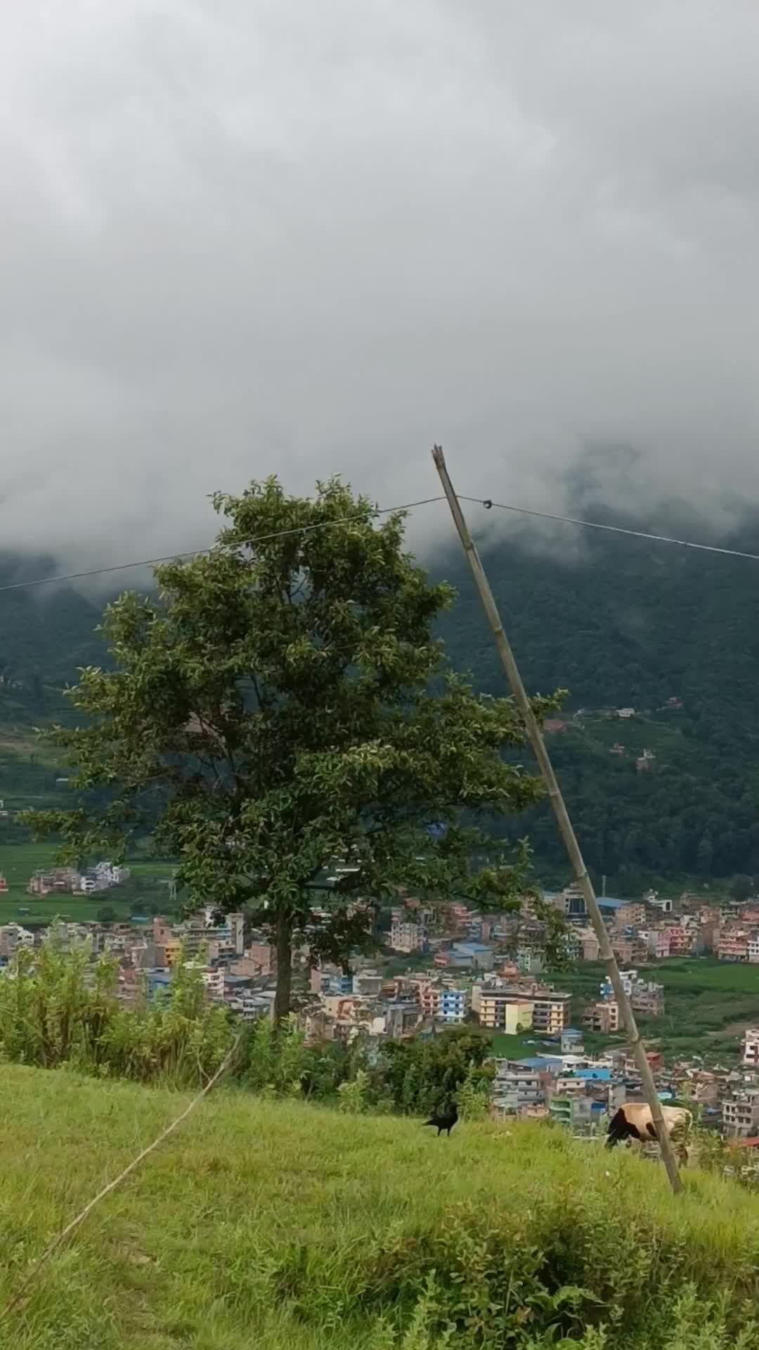 @Sujal humagain
