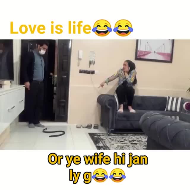 @aliarain411