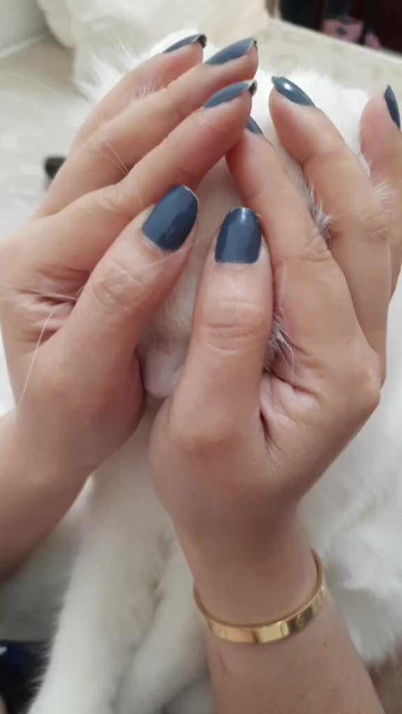 @SikongSimongChikong