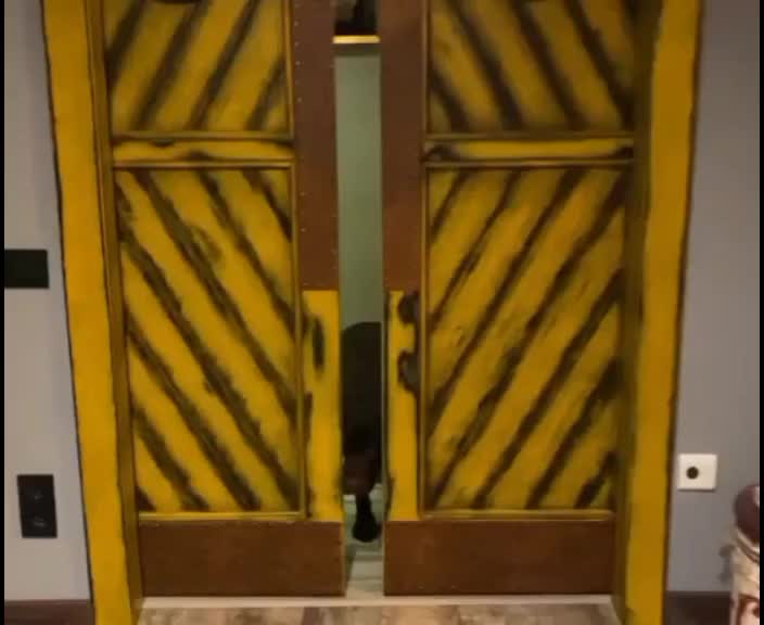 @loftdoors