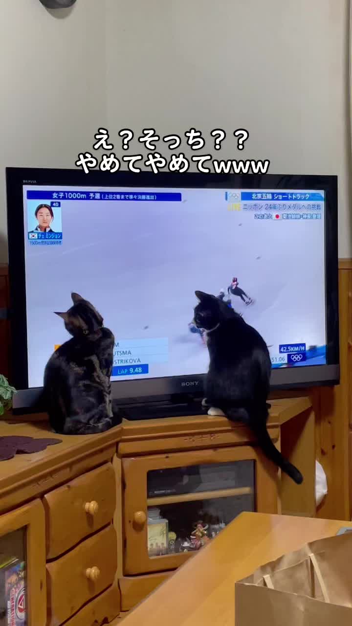 @バギー