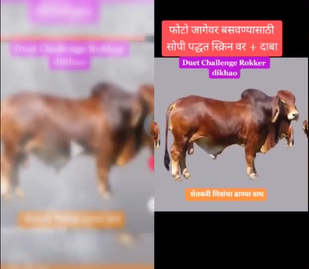 @Devdas Lokhande