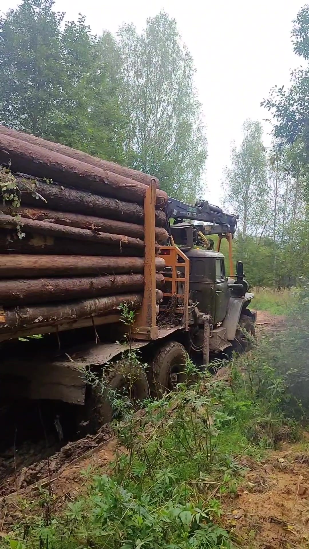 @Андрей Шляпин