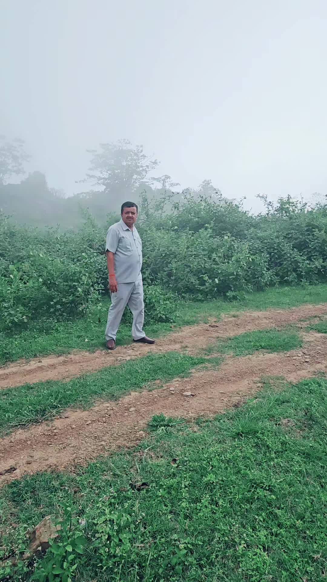 @Tulsiram Paudel