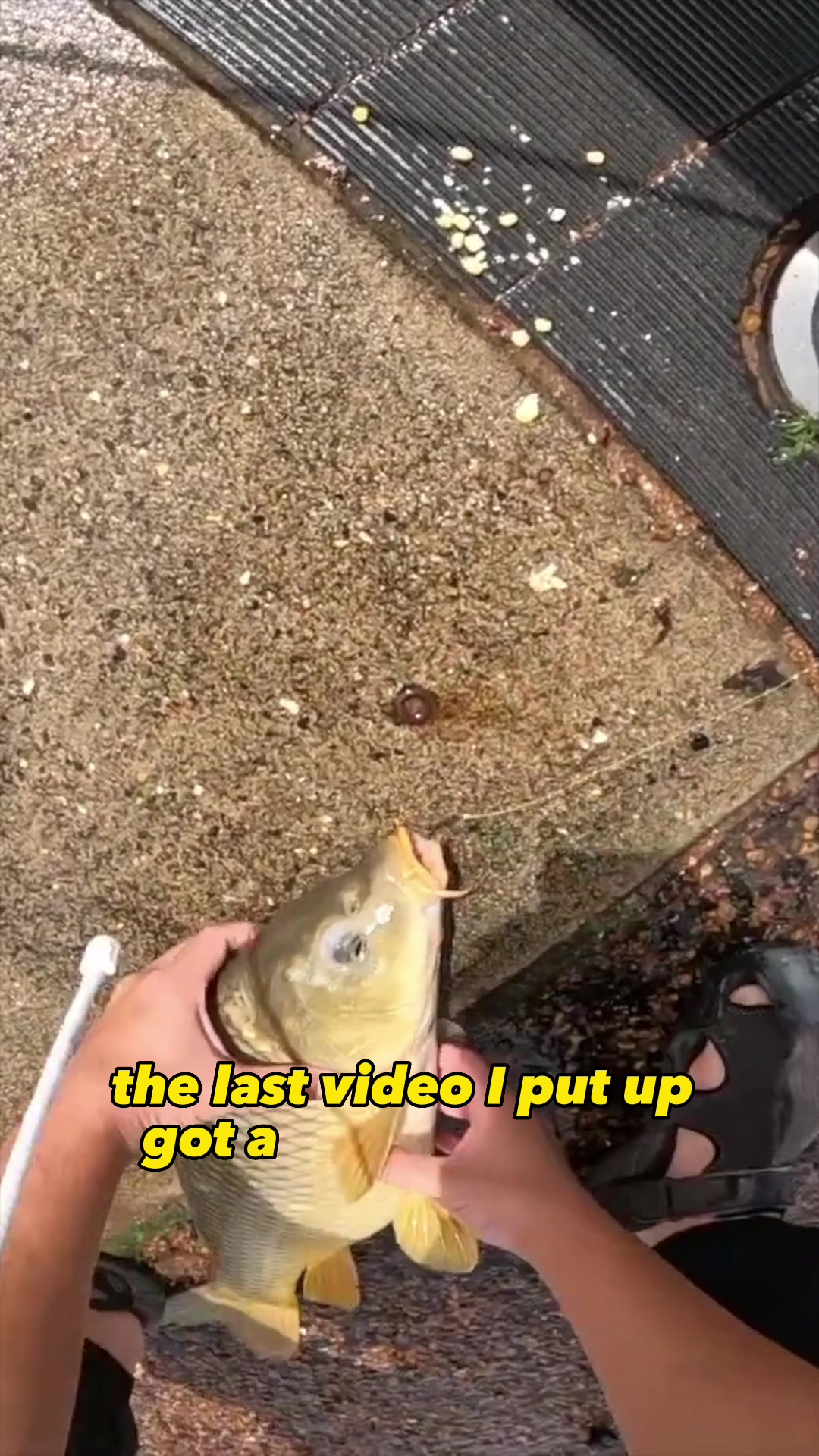 @BST Fishing