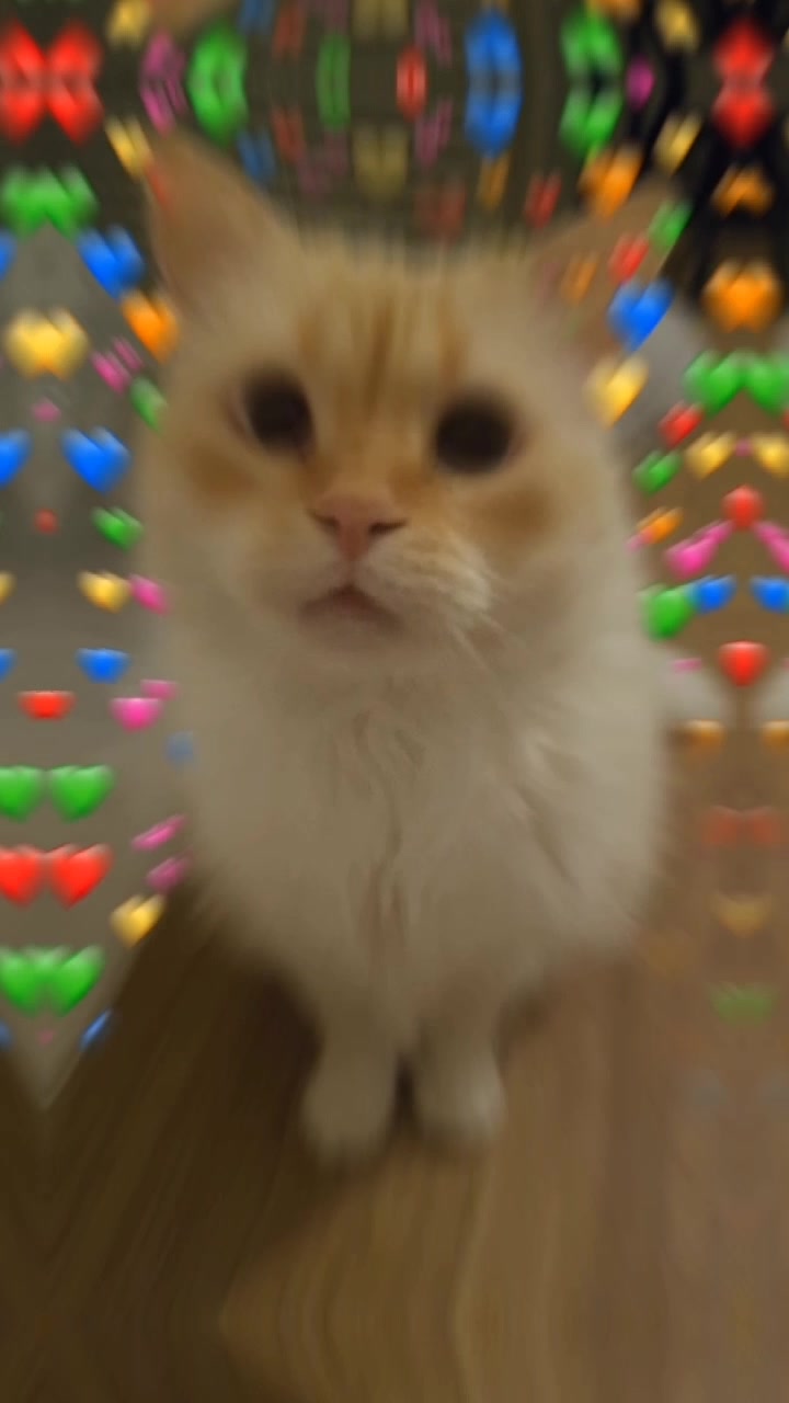 @Charly