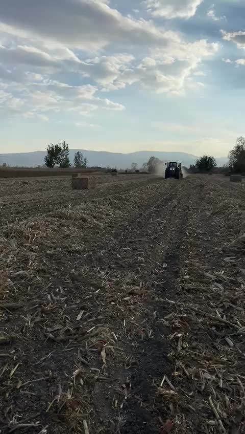 @karakaya