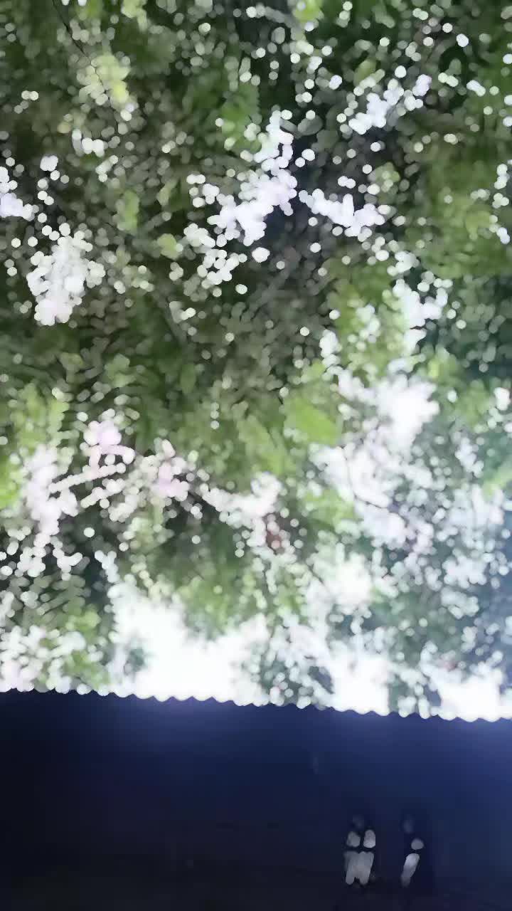 @๐๐๐