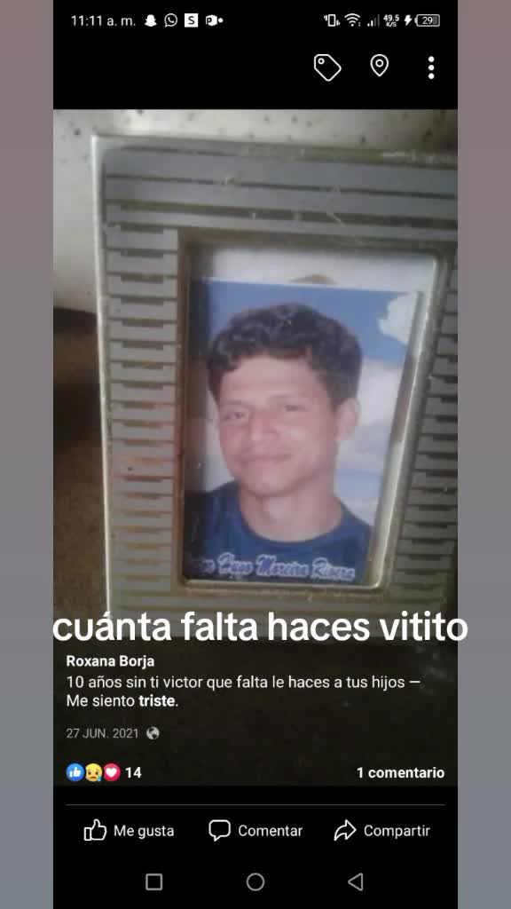@roxanaborja51