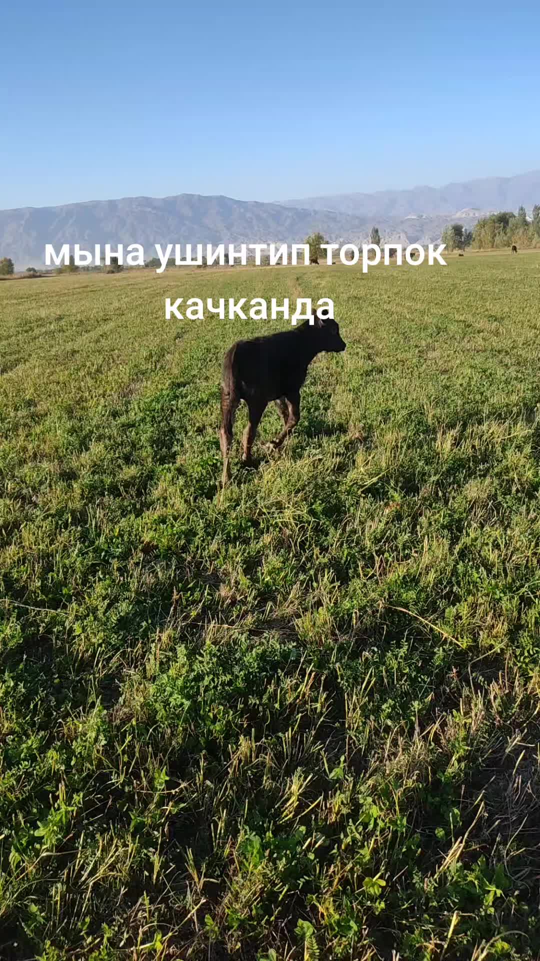 @𝕋𝔸𝕃𝔸𝕊07