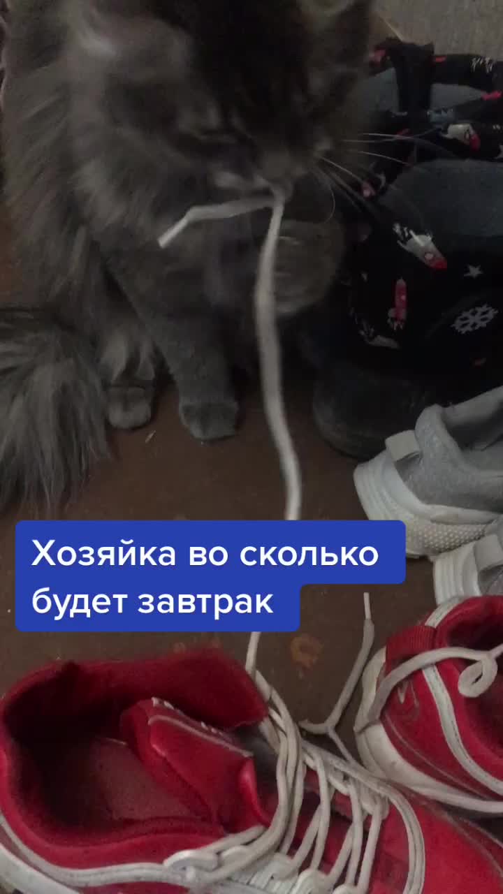 @user2002357103621