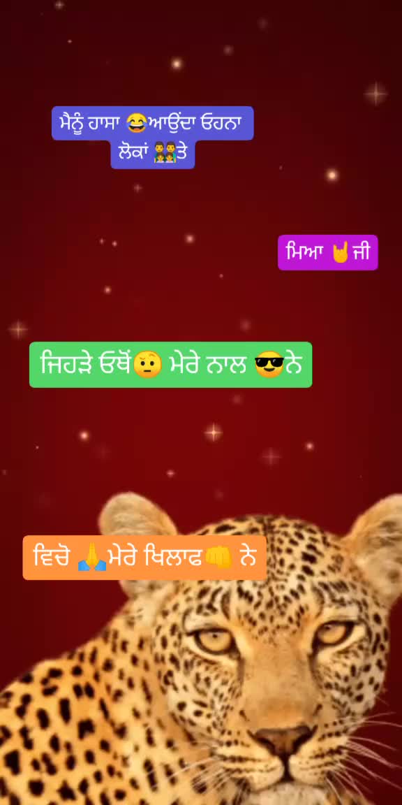 @sohnai de jaan❤️😘