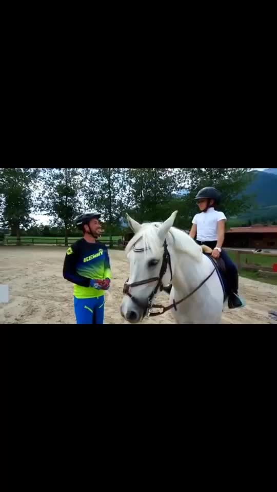 @🖇horses🖇