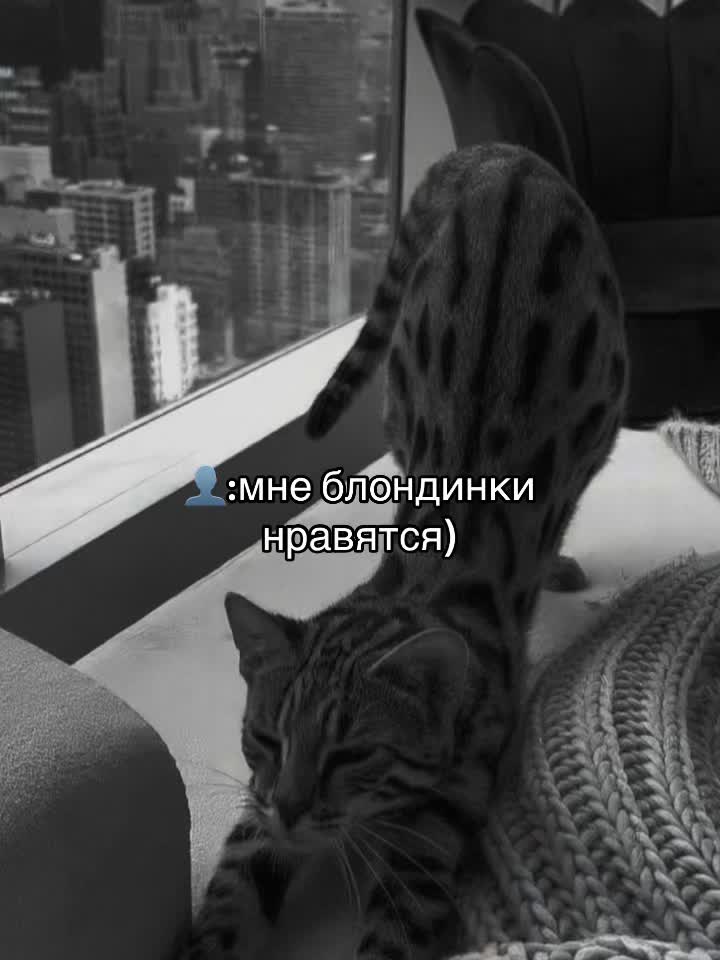 @dishka