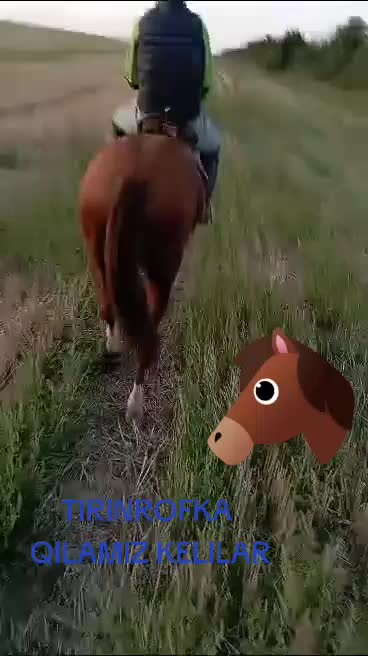 @MUSOFIR 1999