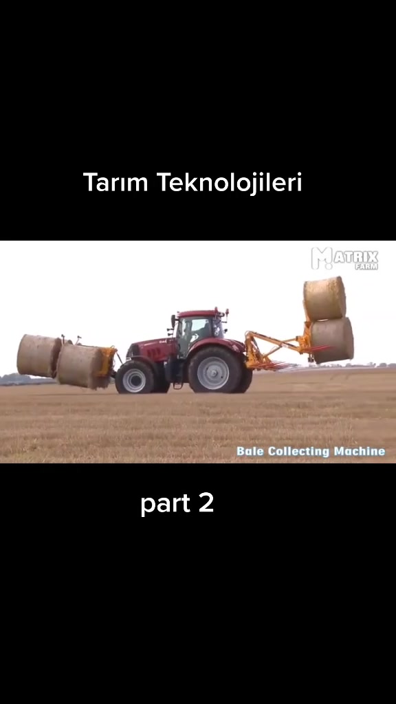 @TarimTubb
