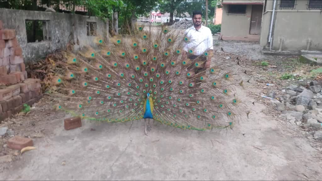 @Sagar Patil