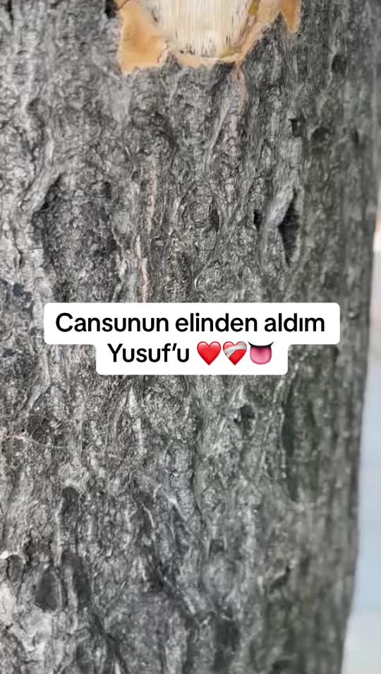 @Mami ekici