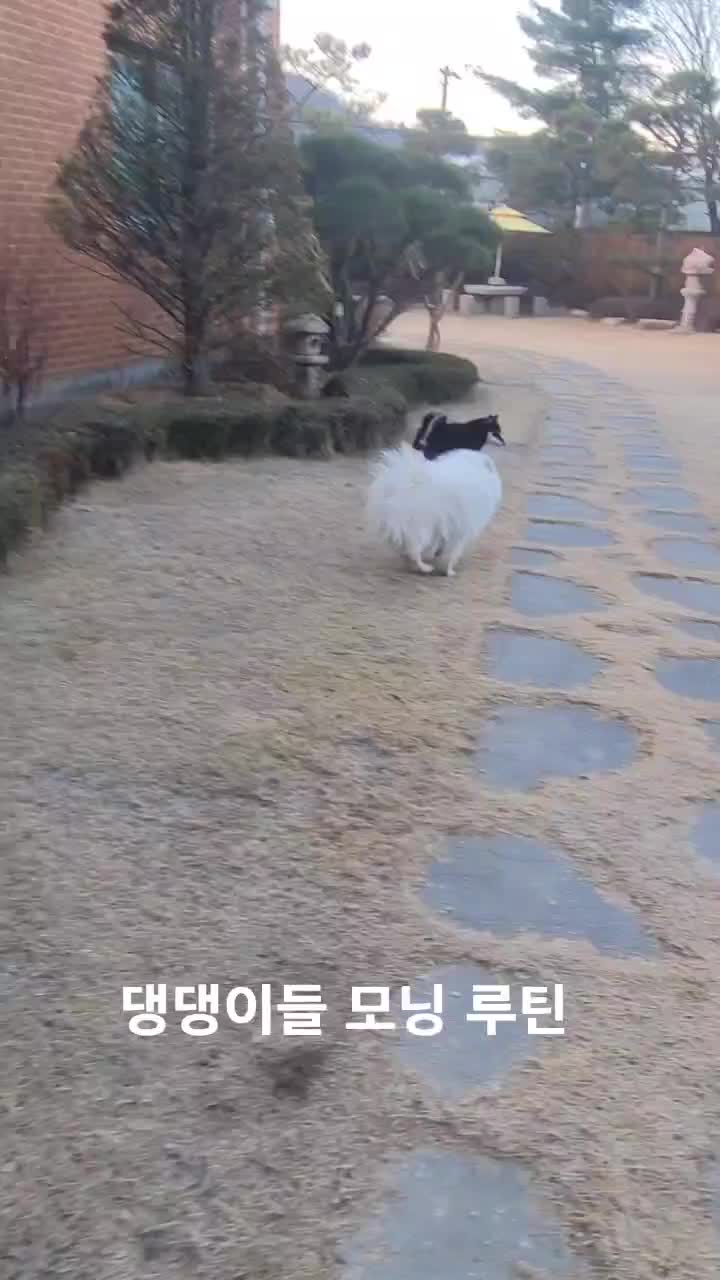 @연탄똘이