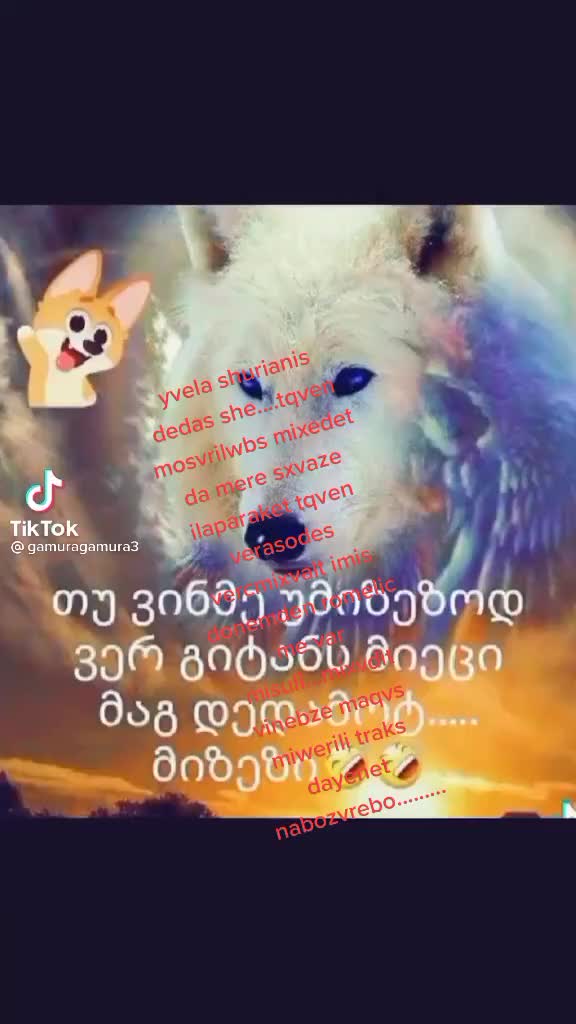 @spartaki