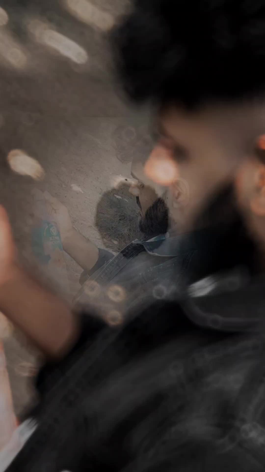 @〆 sᴛʀ_ᴠɪʟᴏ_ᴏꜰꜰʟ_𝟘𝟟 🥀🦅 ࿐