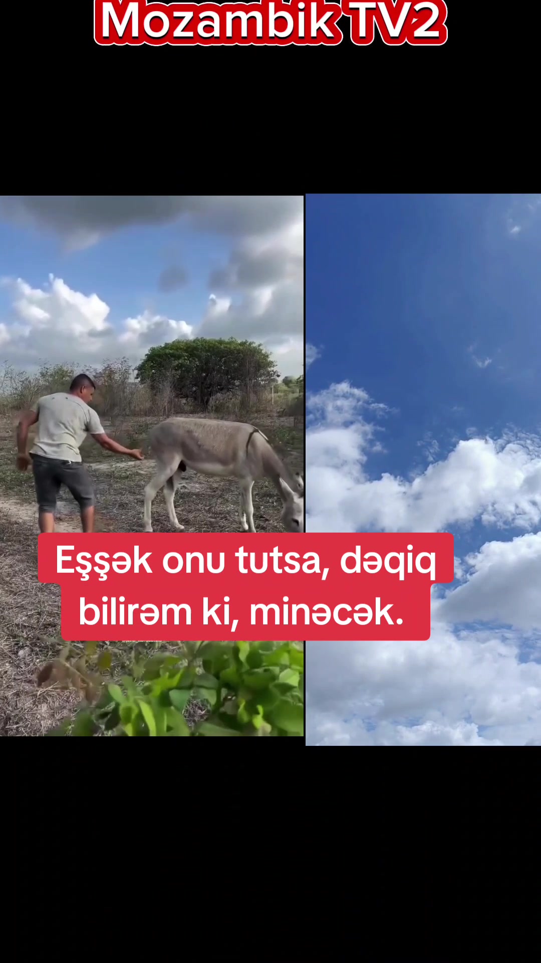 @MozambikTV (MzTV)