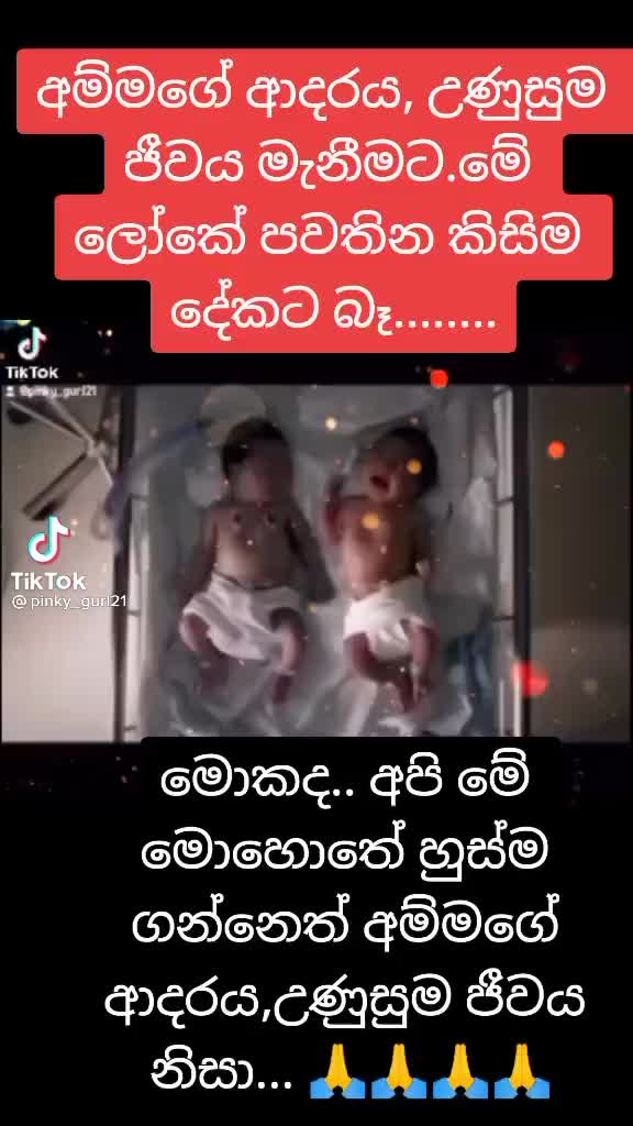 @user553619219233