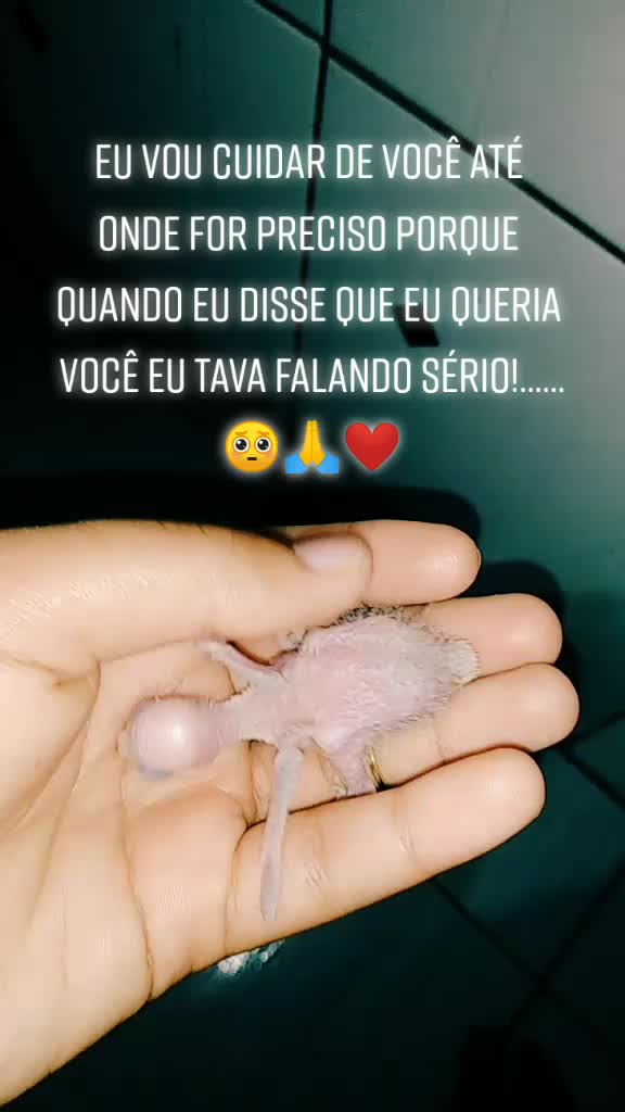 @melhores best 3