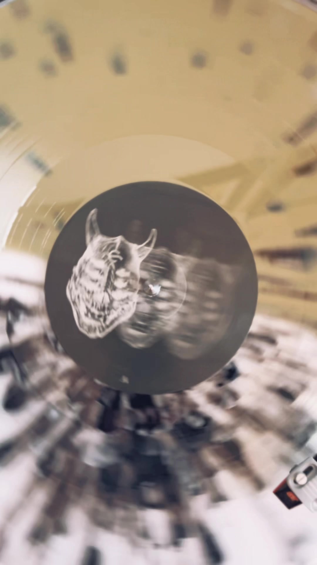 @fortherecordrva