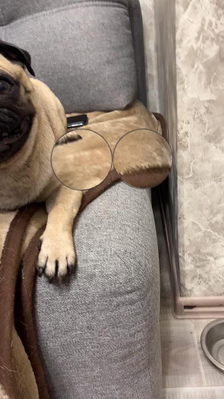 @_Mirai_