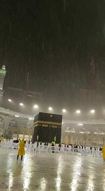 @mustaqeem