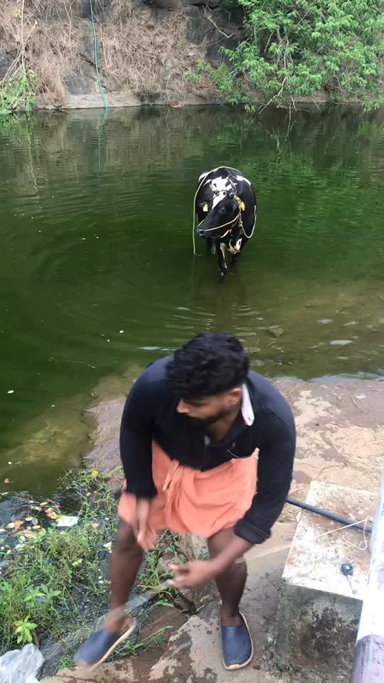 @Shamjomkmk