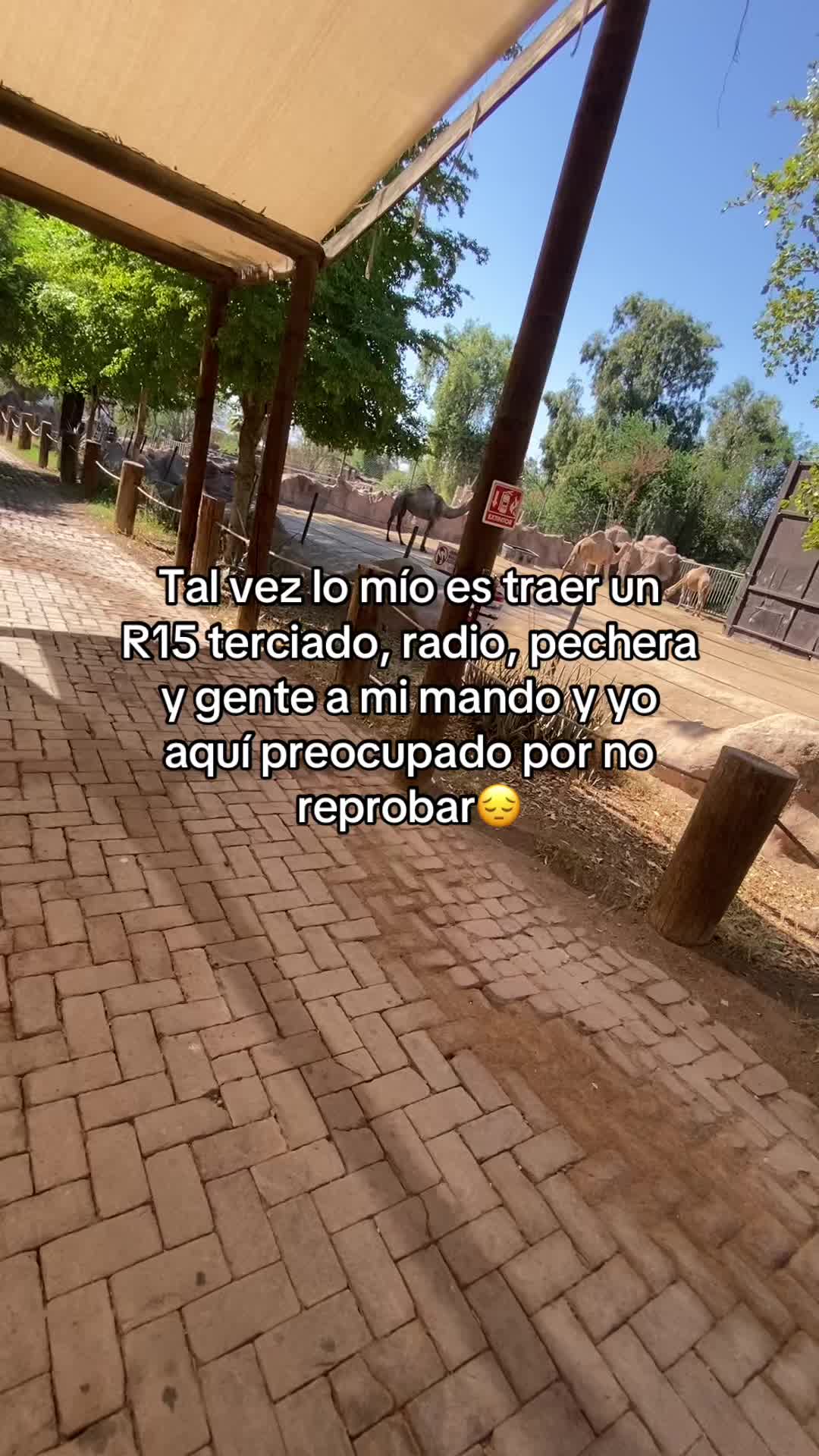 @el_yairet