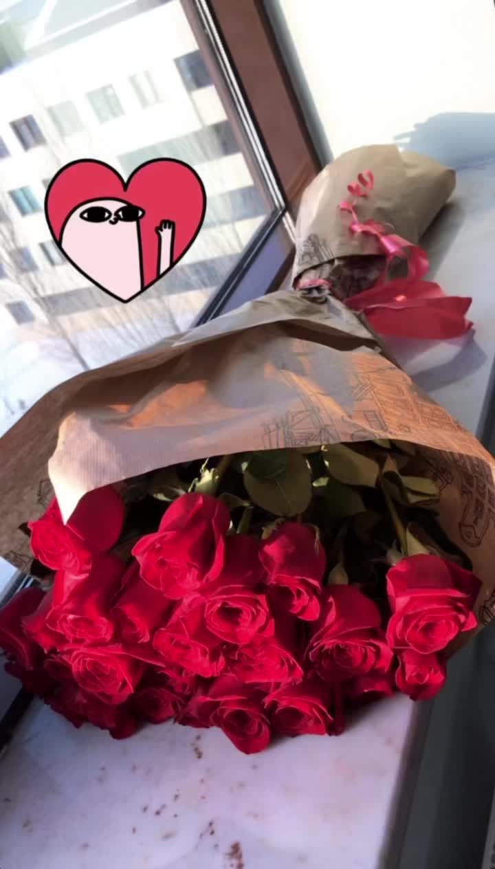 @assema.oss