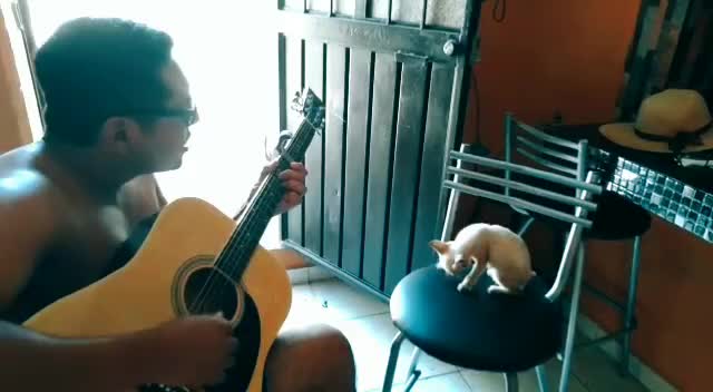 @Cesar Gutierrez