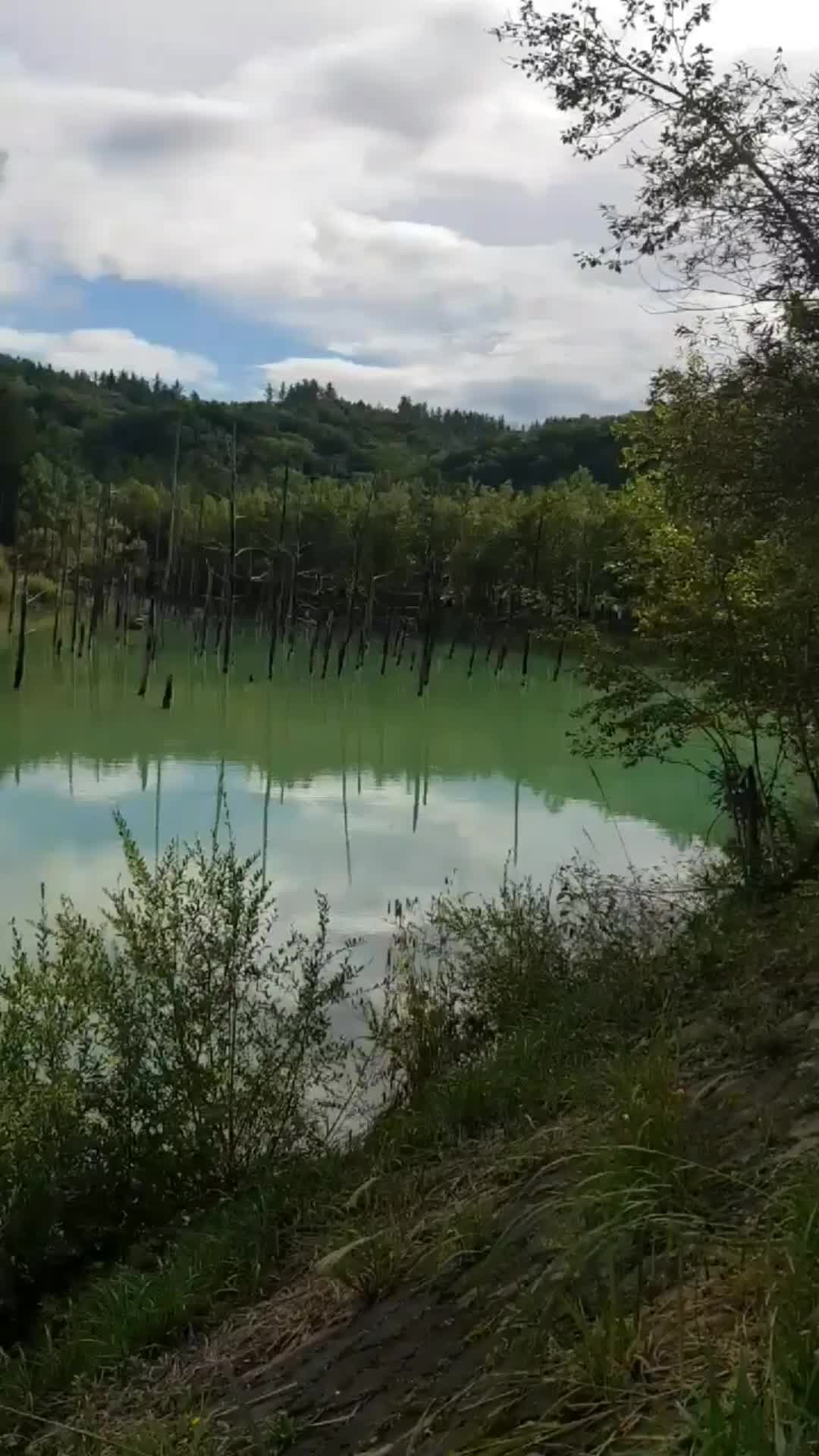 @sanzhar_vladimirovich