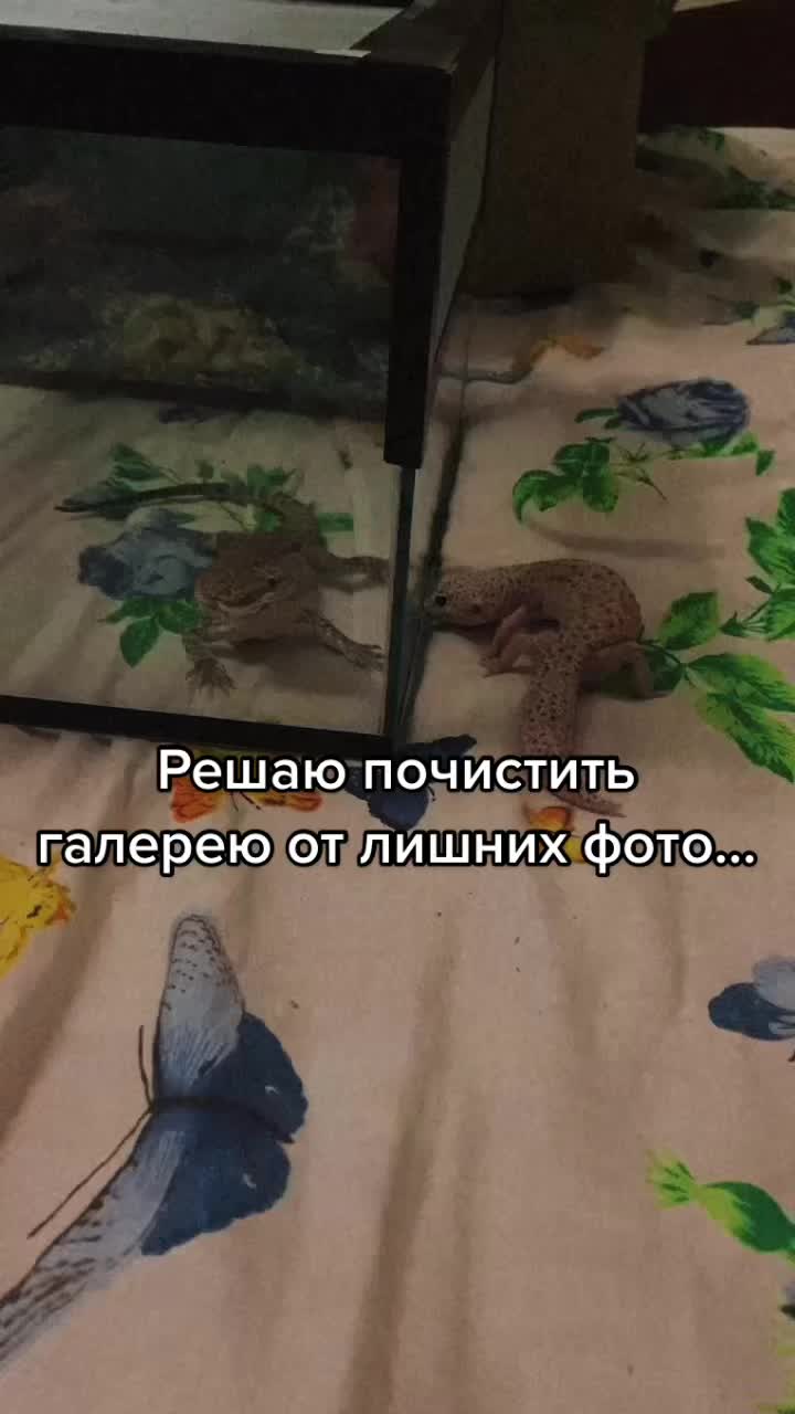 @Ирэн