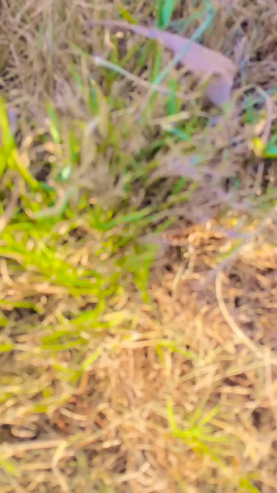 @_ठाकुर_साहब_